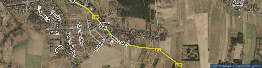 Zdjęcie satelitarne Uskorz Mały ul.